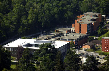 Senza titolo Senza titolo