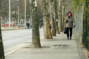 Locarno taglio platani e presidio popolazione Locarno taglio platani e presidio popolazione