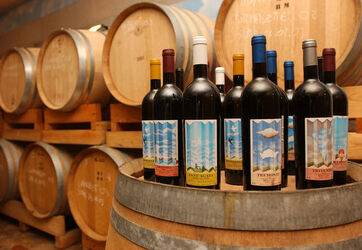 Cantina Vinicola Latini