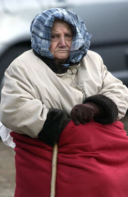 Toceno Italia peppole in volo