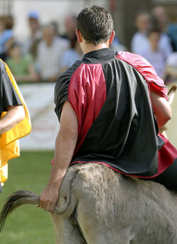 Mendrisio Palio degli Asini
