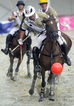 Polo finale torneo Ascona Polo Cup