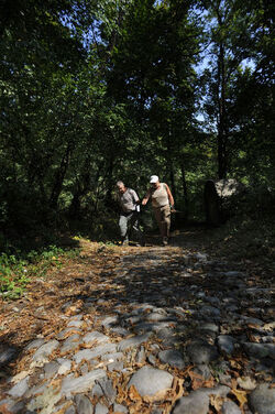 Parco Gole della Breggia sentiero