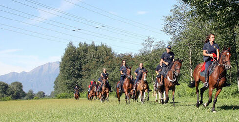 Giubiasco trekking dell Insubria a cavallo