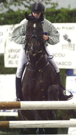 Ippica concorso elite qualifiche ai campionati svizzeri