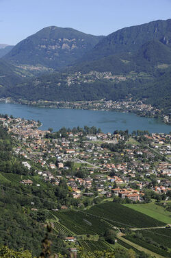 Riva San Vitale veduta panoramica