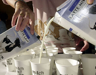 Ticino giornata del latte Ticino giornata del latte