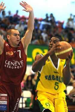 Basket SAV Vacallo Ginevra Lions