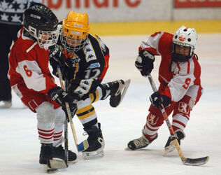 Hockey giovanile Mc Donalds Cup piccolo