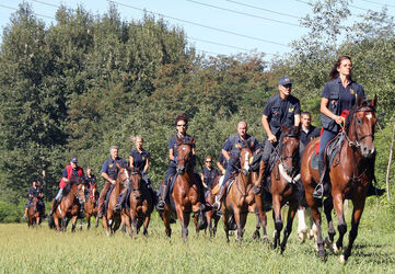 Giubiasco trekking dell Insubria a cavallo