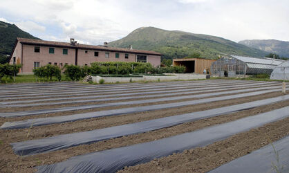 Vaglio fattoria La Fonte