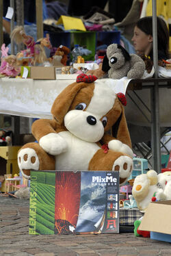 Locarno mercatino dell usato destinato ai ragazzi