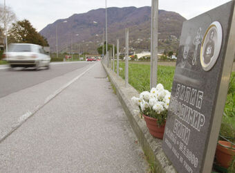 Camorino lapide e fiori