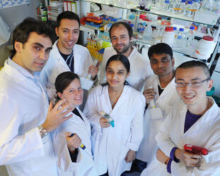 Bellinzona Andrea Alimonti ricercatore IOSI