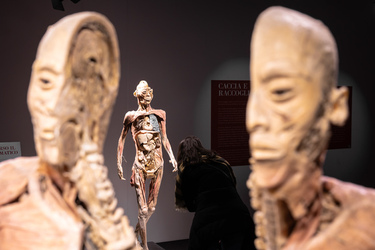 Lugano Real Bodies alla scoperta del corpo umano