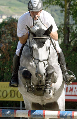 Ippica Johnny Motetta