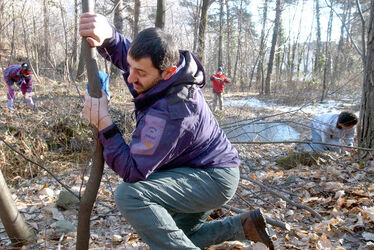 Losone eco volontariato WWF