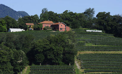 S.Pietro di Stabio tenuta Montalbano