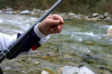Pesca mondiali di pesca in Valle di Blenio Pesca mondiali di pesca in Valle di Blenio