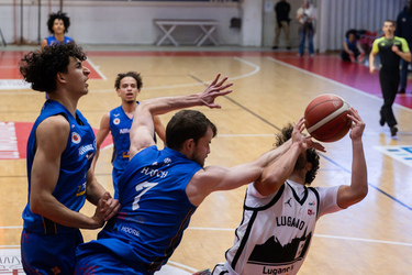 Basket Lugano Tigers BBC Nyon