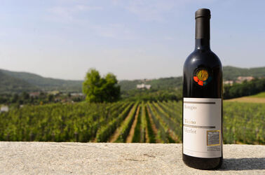 Mezzana Merlot del Ticino Bongio 