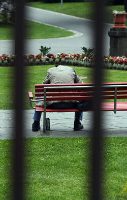 Lugano giardini pubblici crisi
