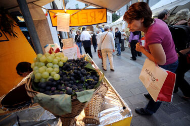 Lugano festa dell autunno
