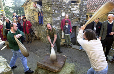 Cabbio battuta delle castagne Cabbio battuta delle castagne