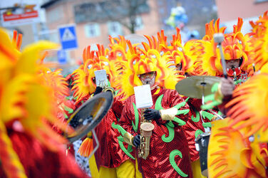 Roveredo GR corteo mascherato carnevale Lingera