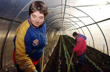 Melano progetto foyer agricolo Fondazione San Gottardo