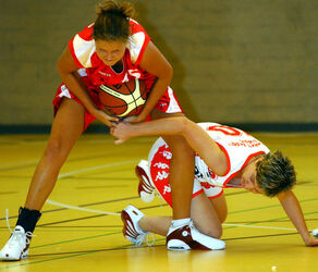 Basket Cassarate Basket Daihatsu SF Muraltese