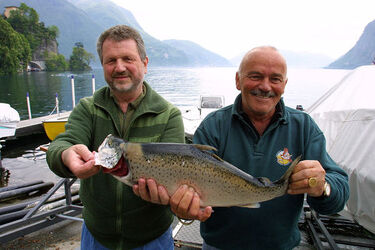Pesca gara di Pesca del Ceresio