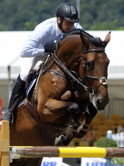 Ippica Dirk Demmrman