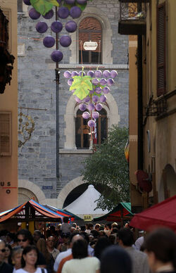 Bellinzona Bacchica