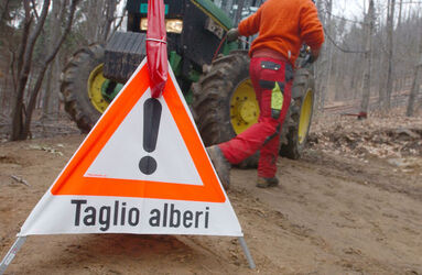 Cademario giornata sul legname AELSI