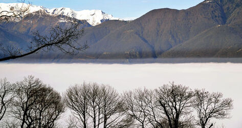 Monte Ceneri Mare di nebbia