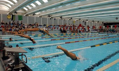 Nuoto Trofeo Ticino
