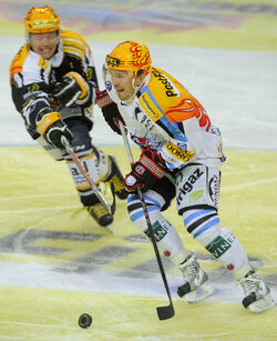 Hockey HC Lugano HC Friborgo