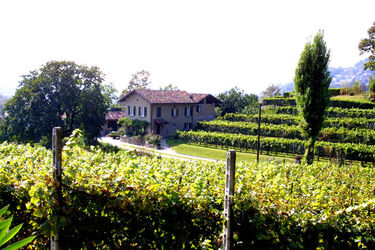 Lugano 30anni azienda vinicola fattoria Lucchini