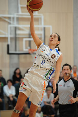 Basket Lidia Travaini