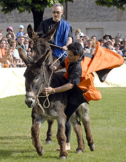 Mendrisio Palio degli Asini
