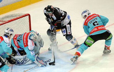 Hockey HC Lugano Rapperswill Lakers