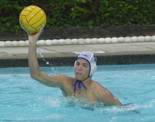 Pallanuoto Lugano Sciaffusa