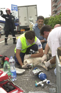 Incidente A2 tamponamento fra tir a Chiasso Incidente A2 tamponamento fra tir a Chiasso