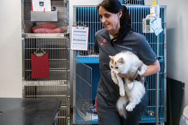 Bellizona Martina Casella veterinaria