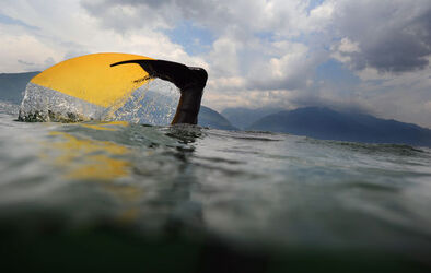 Apnea Campionati Svizzeri