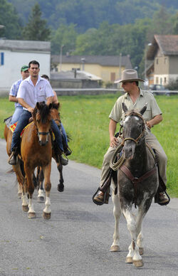 Stabio equitazione monta western