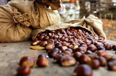 Rivera Castagne ubriache