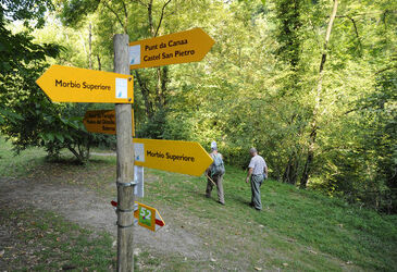 Parco Gole della Breggia sentiero