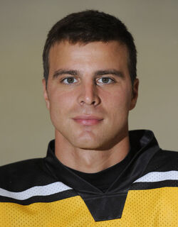 Hockey Dario Kostovic